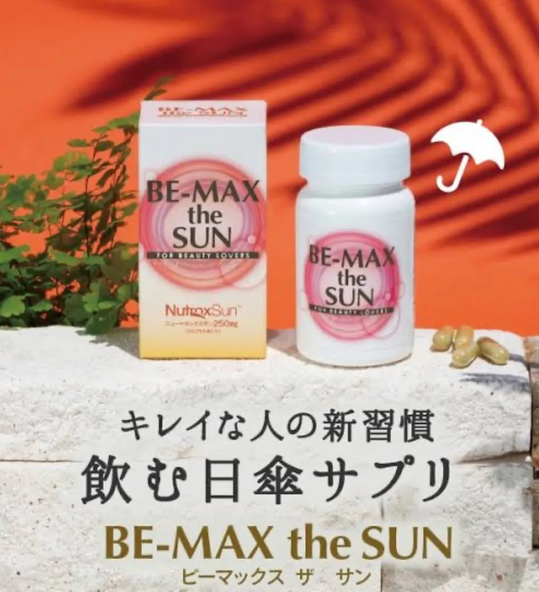 こんにちは☀️