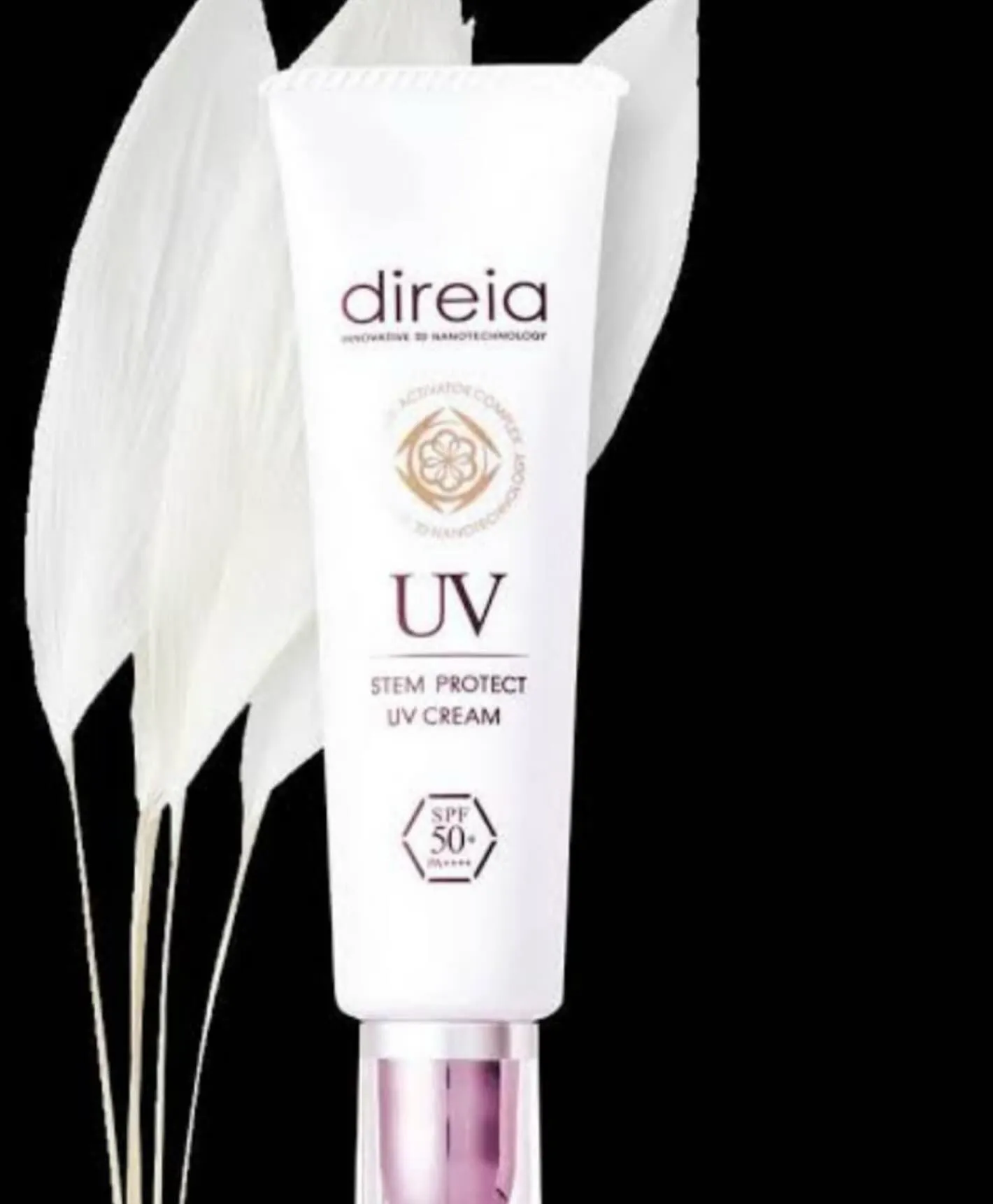 こんにちは☀️